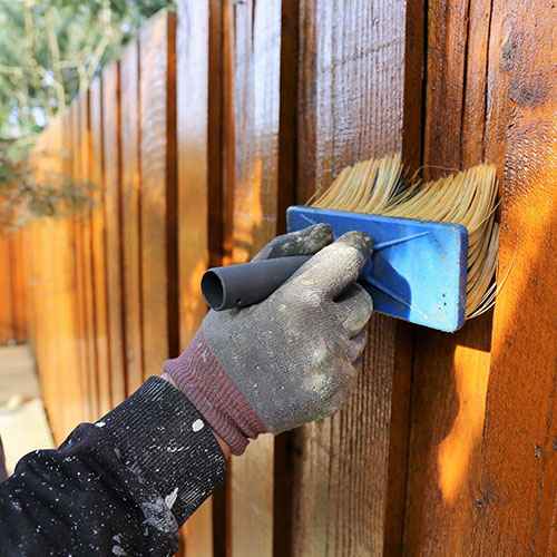 Fence Painting